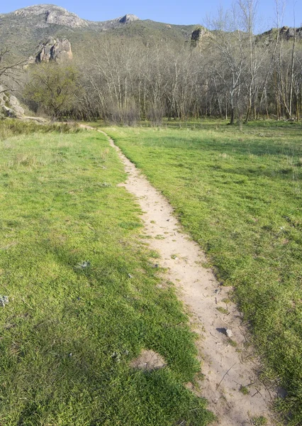 Küçük bir yol — Stok fotoğraf