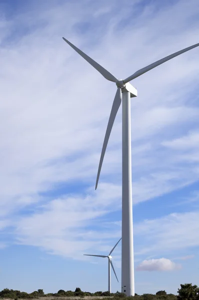 Windmühlen — Stockfoto