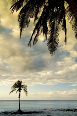 tropik gün batımı