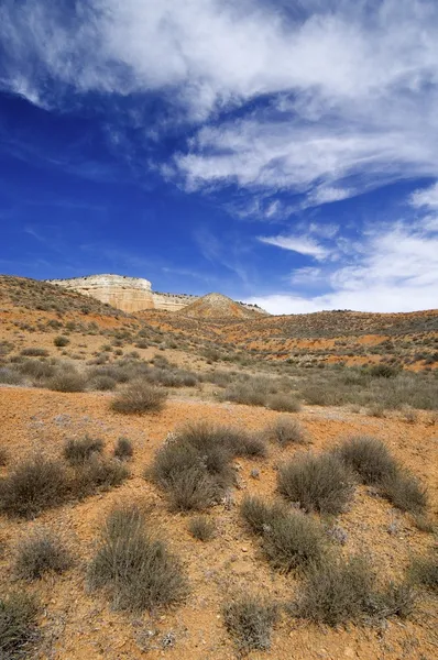 Arid landscape