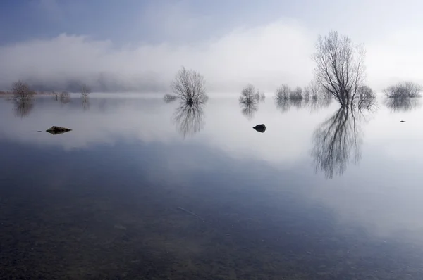 Árboles y lago con reflejos —  Fotos de Stock