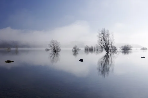 Bäume und See mit Spiegelungen — Stockfoto