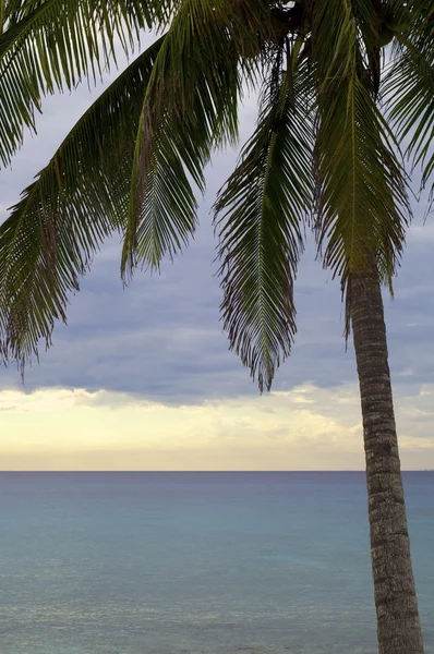 Tropical sunset — Stock Photo, Image