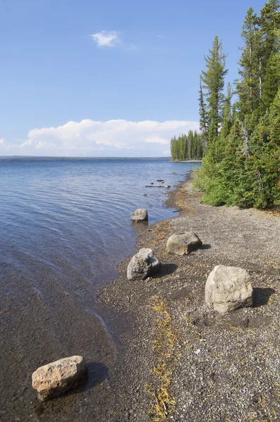 Lakeside Lewis — Stok fotoğraf