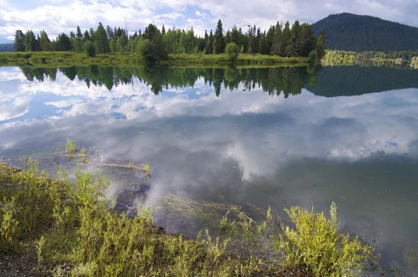 Reflektioner i floden — Stockfoto