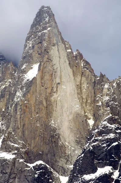 Dru tepe — Stok fotoğraf