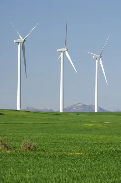 Quatro moinhos de vento — Fotografia de Stock