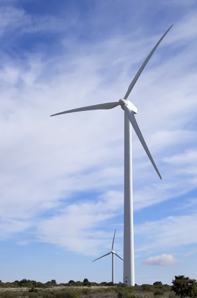 Windmühlen — Stockfoto