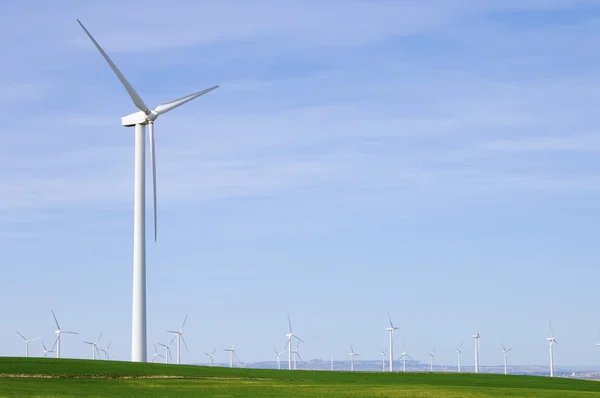 Windmühlen — Stockfoto