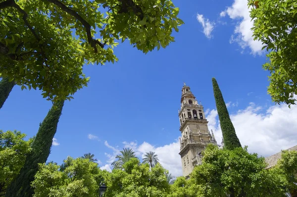 Moskén i Córdoba — Stockfoto