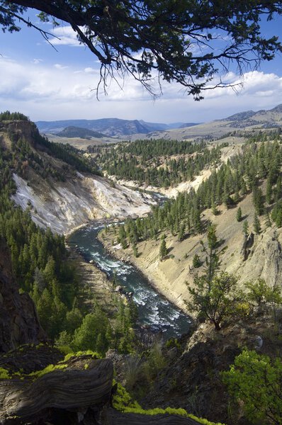 Yellowstone