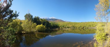 MONCAYO
