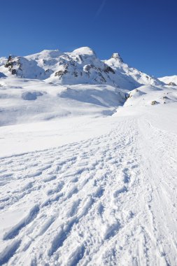 Pyrenees