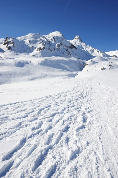 Pyrénées — Photo