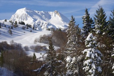 Pyrenees
