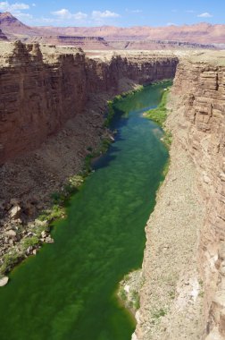Colorado Nehri