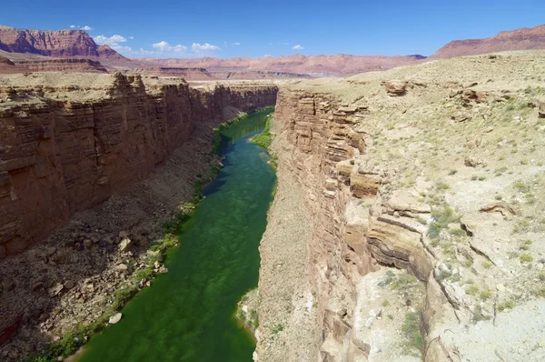 Colorado river — Stock Photo, Image