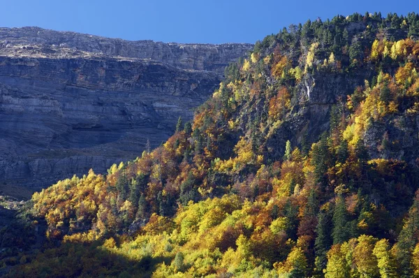 Pyrenees — Stock Photo, Image