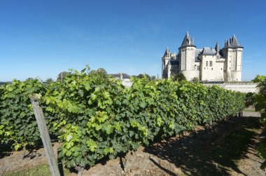 Saumur