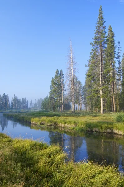 Yellowstone — Stock fotografie