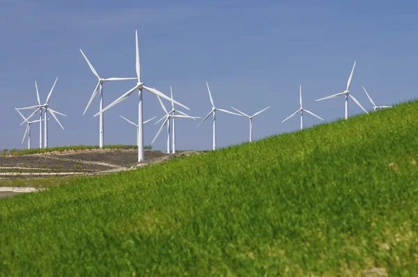 Energía eólica —  Fotos de Stock