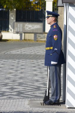 Çek guard