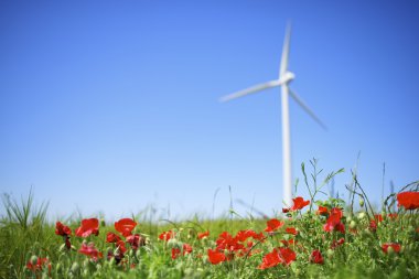 rüzgar enerjisi