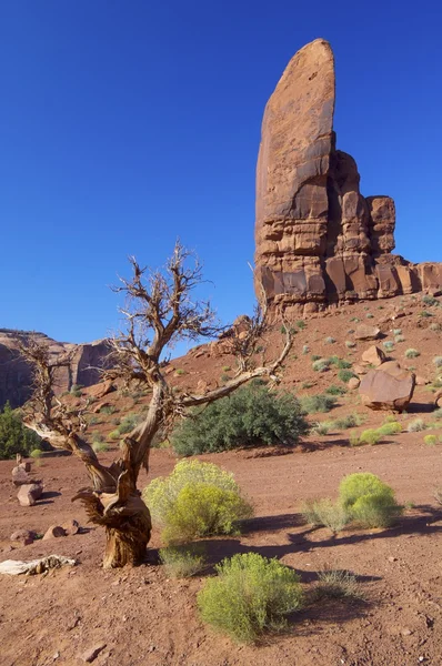 Monument Valley — Stock Photo, Image