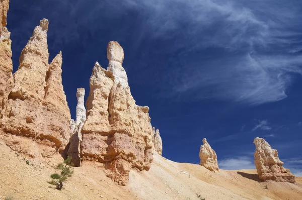 Canyon de Bryce — Photo