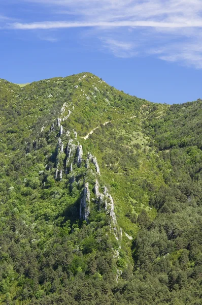 Σάντο Ντομίγκο — Φωτογραφία Αρχείου