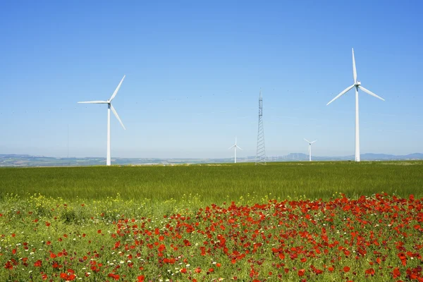 Rüzgar enerjisi — Stok fotoğraf