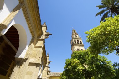 cordoba Camii