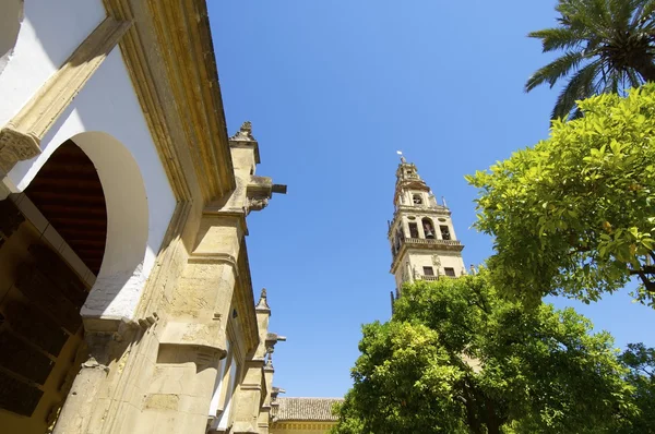 Moskén i Córdoba — Stockfoto