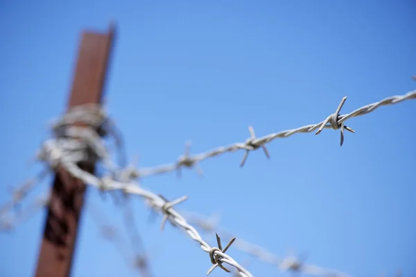 Barbed wire — Stock Photo, Image