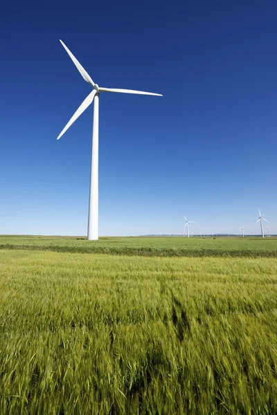 Energía eólica —  Fotos de Stock