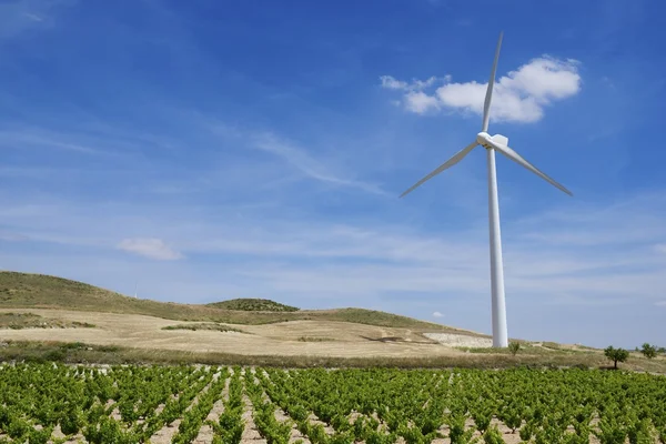 Windenergie — Stockfoto