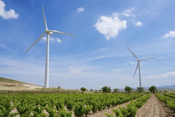 Energía eólica —  Fotos de Stock