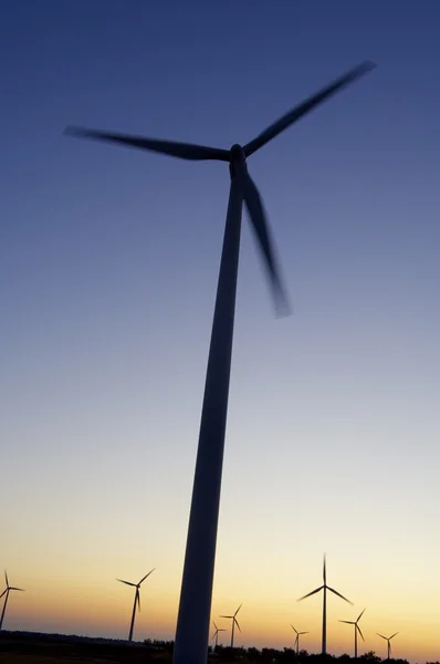 Energía eólica —  Fotos de Stock