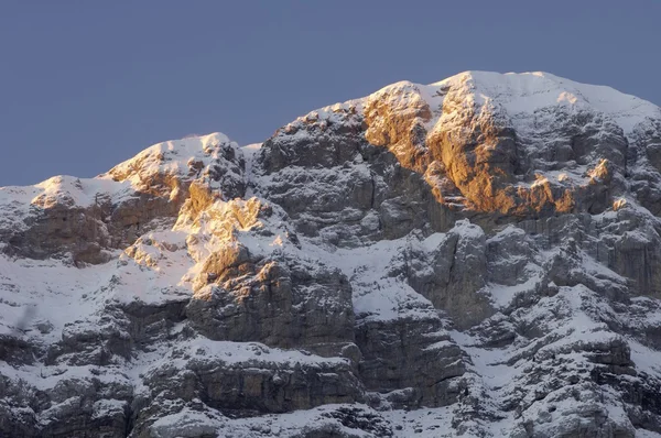 Pyrénées — Photo