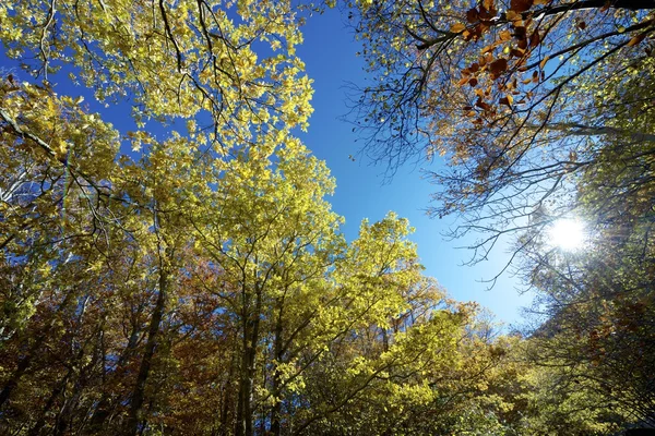 Moncayo — Stock Photo, Image