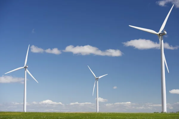 Energía eólica —  Fotos de Stock