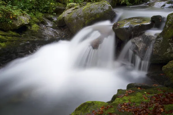 Creek — Stock Photo, Image