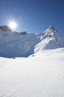 Pyrenees