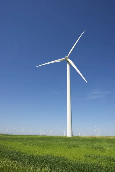 風力エネルギー — ストック写真