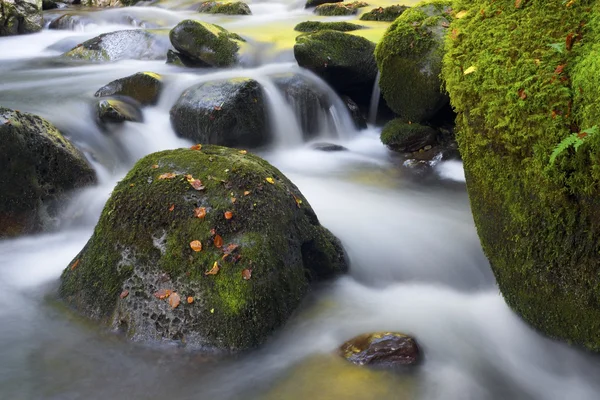 Creek — Zdjęcie stockowe