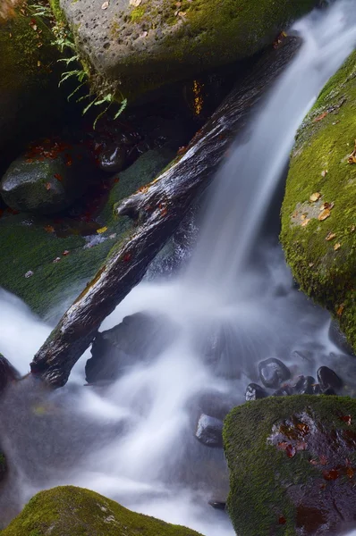 Creek — Stockfoto