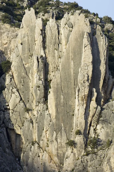 Organo de Montoro — Stok fotoğraf