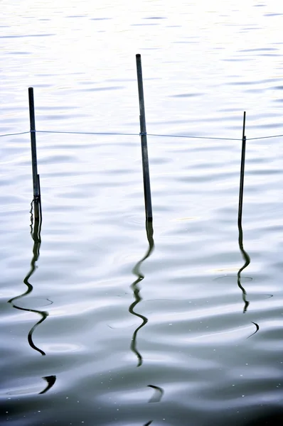 La albufera — Fotografia de Stock