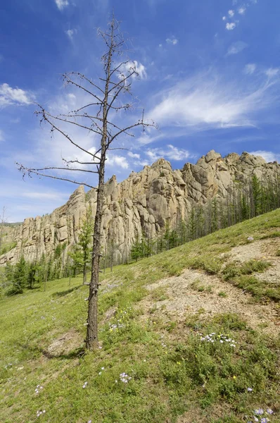 Paisagem mongol — Fotografia de Stock