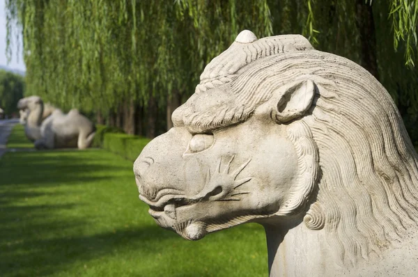 The General Sacred Way of the Ming Tombs — Stock Photo, Image